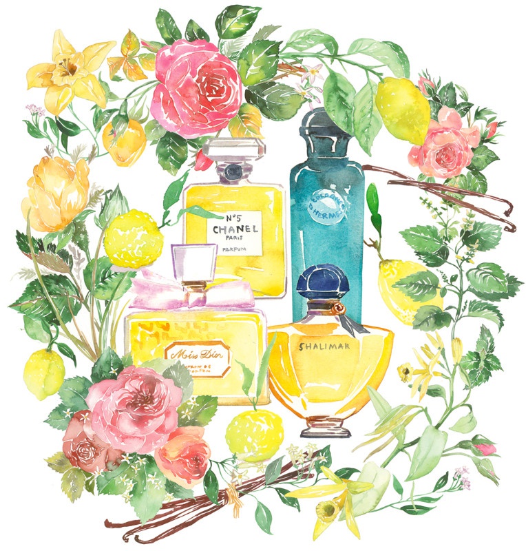 illustration lucile prache parfums.jpg - Lucile PRACHE | Virginie